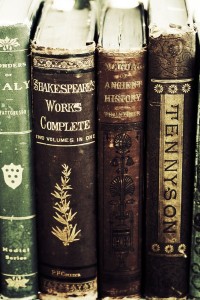 Shakespeare and more